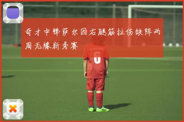 奇才中锋萨尔因右腿筋拉伤缺阵两周无缘新秀赛