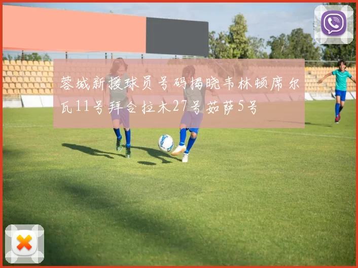 蓉城新援球员号码揭晓韦林顿席尔瓦11号拜合拉木27号茹萨5号